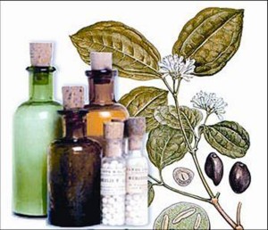 Imagen para Homeopatia